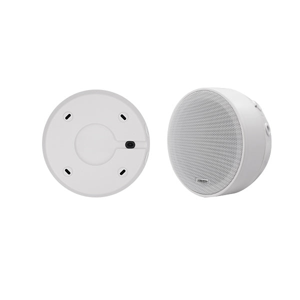 ხმამაღლამოლაპარაკე DSP5311 6.5Inch Surface Mount Ceiling Speaker - Dsppa